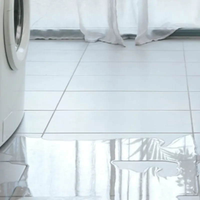 Appliance Leak Cleanup in Zephyrhills South, FL