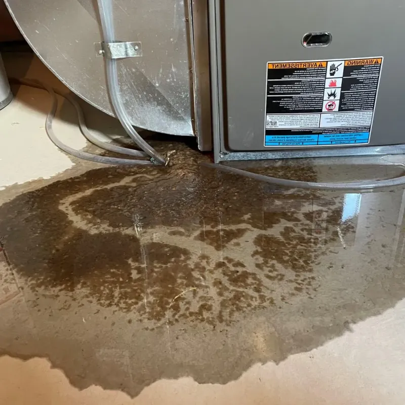 Pipe Burst and Leak Restoration in Zephyrhills South, FL