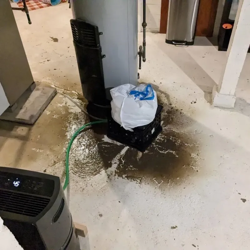 Sewage Backup Cleanup Service in Zephyrhills South, FL